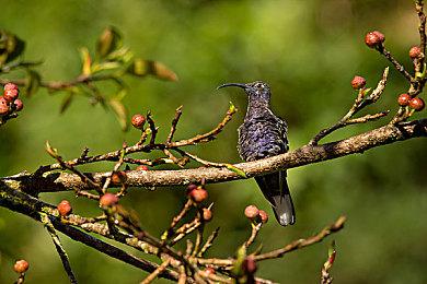 沙盒经济模拟策略《资本：革命的火花》4月29日发售